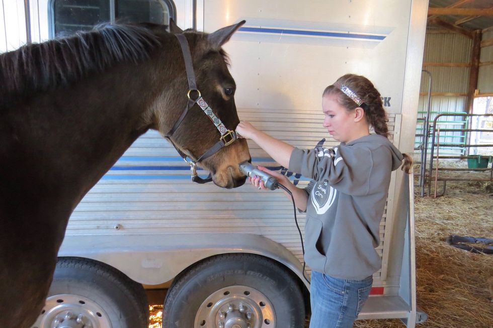 You should clip your horse the night before the show. That way, you have plenty of time, and if in the morning you find a spot you missed, it doesn't take long to fix.