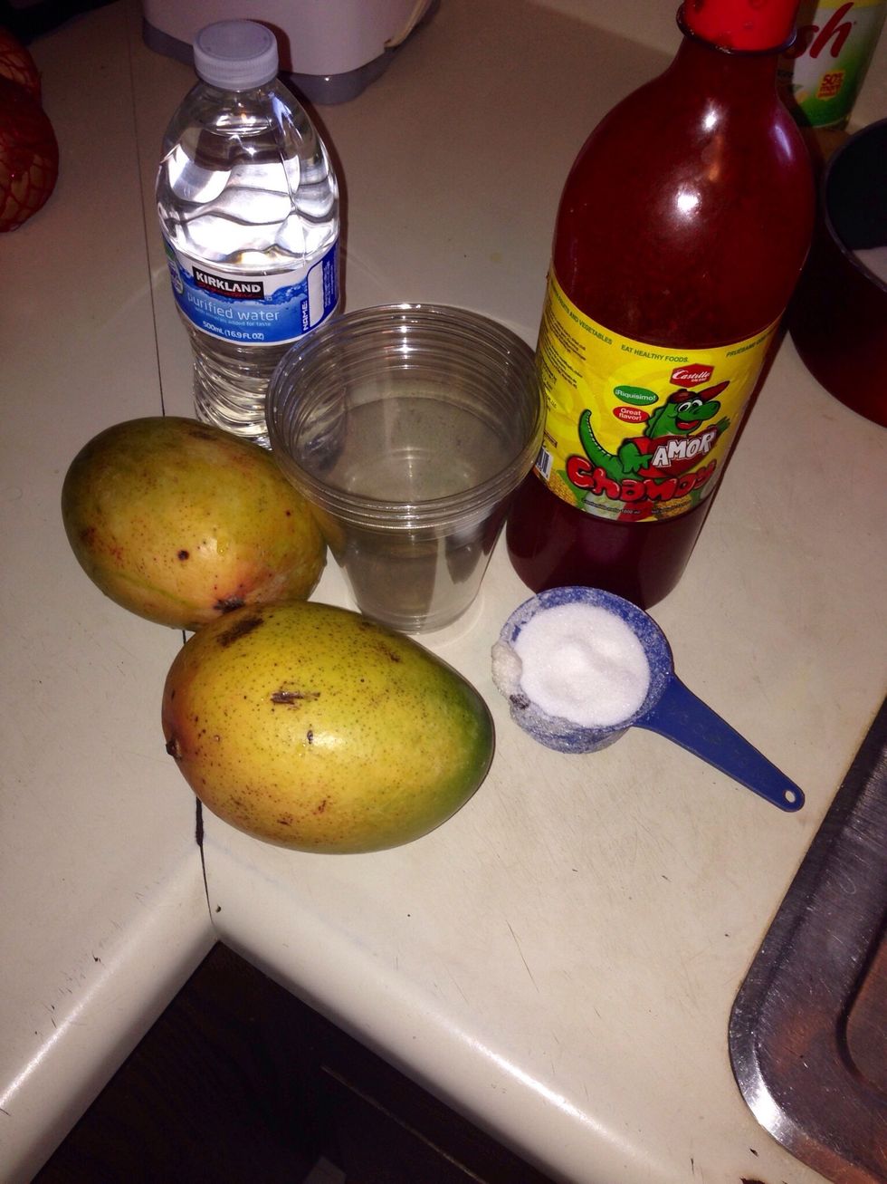 You should have all of your ingredients gathered up by now.