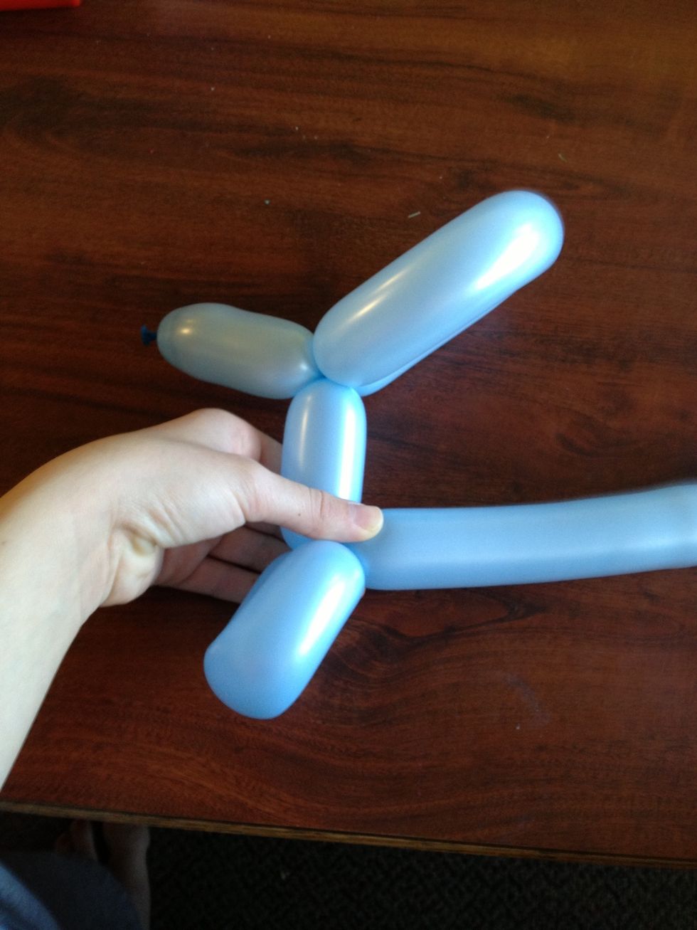 You should now be left with the first two legs of your dog balloon animal. :)