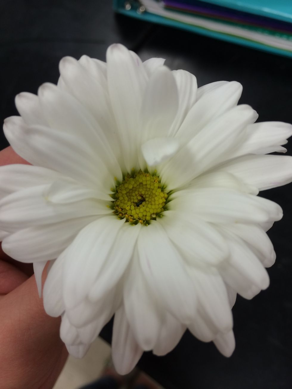 you shouldn't be able to see the wire sticking out of the top of the flower