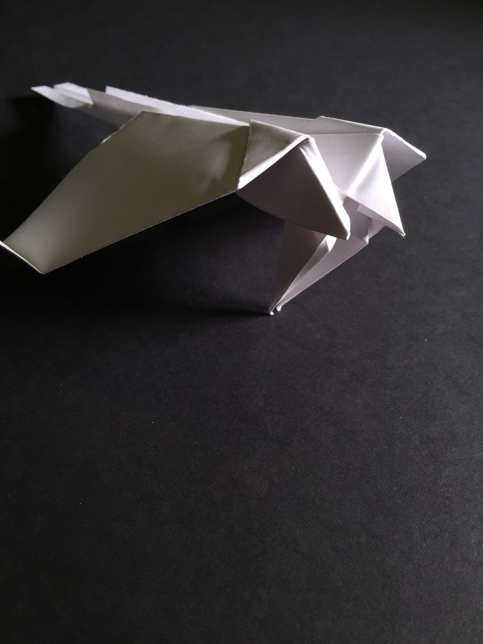 You\u2019ve done it! Aircraft shown with landing gears down. Tip: craft flies better gears up.