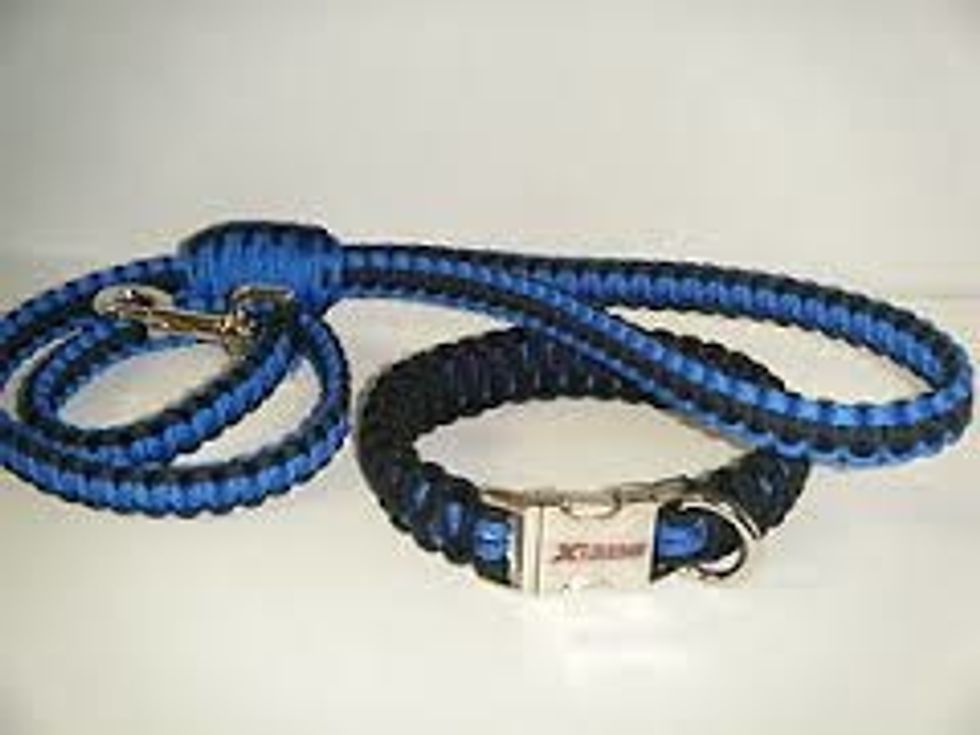You want to make sure it is a sturdy leash so that the dog does not brake the leash or your puppy trying to chew it .So the picture above is a good example of a sturdy leash .