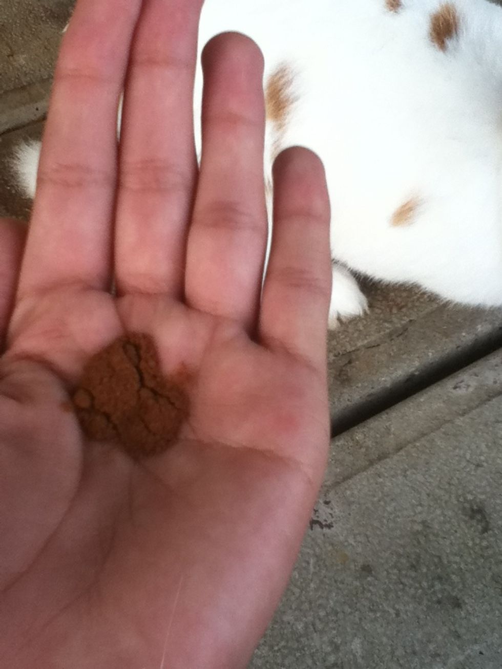 You want to take a good amount on your hand.