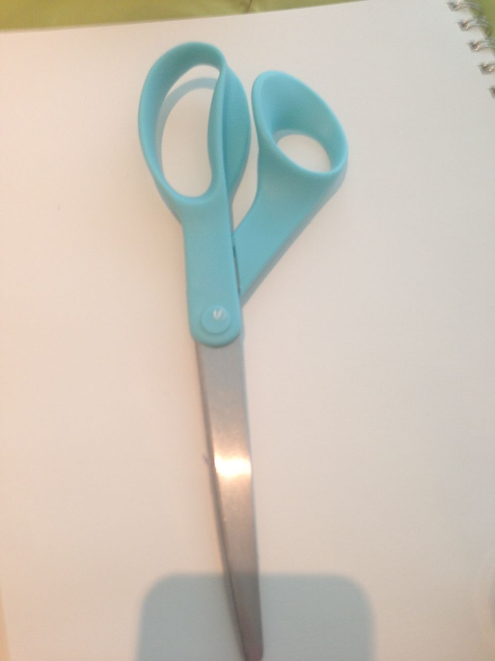 You will also need some scissors! They may get a little sticky in the process so I suggest using older scissors that you don't really care about.