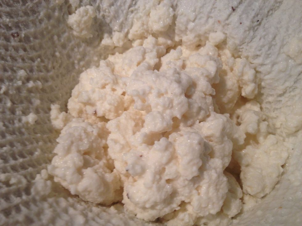 You will be left with the curds. If you want you can save the whey for baking or instead of stock in soups.