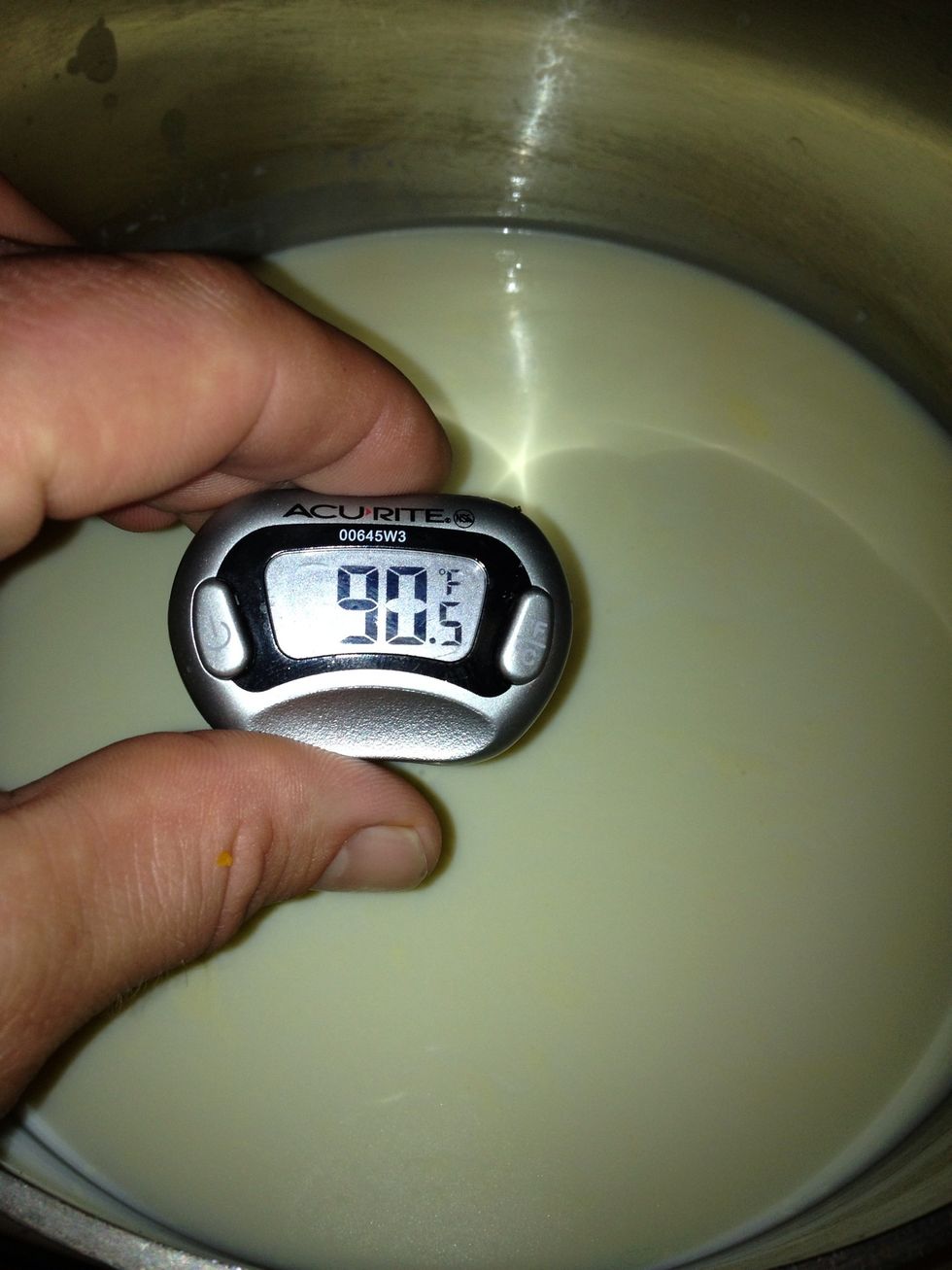 You will need a decent thermometer for this