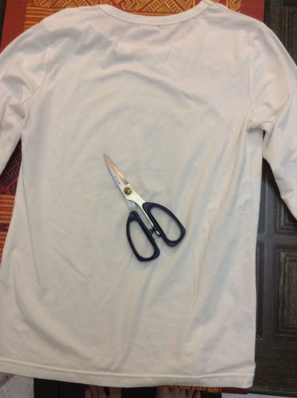 You will need a old T-Shirt and a pair of scissors\u2702\ufe0f