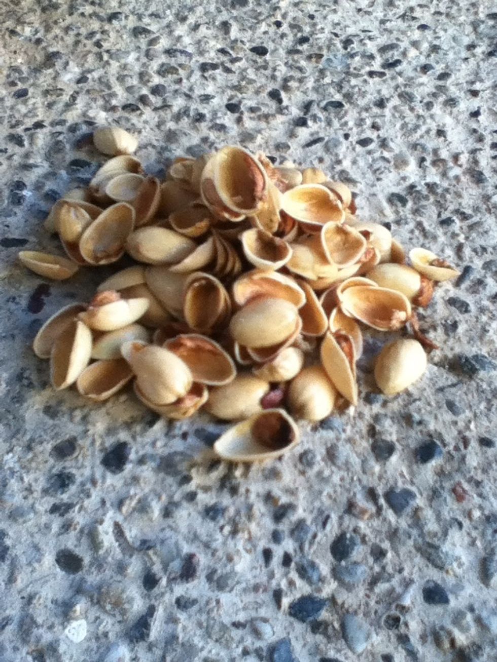 You will need pistachio shells too Wash it and then paint