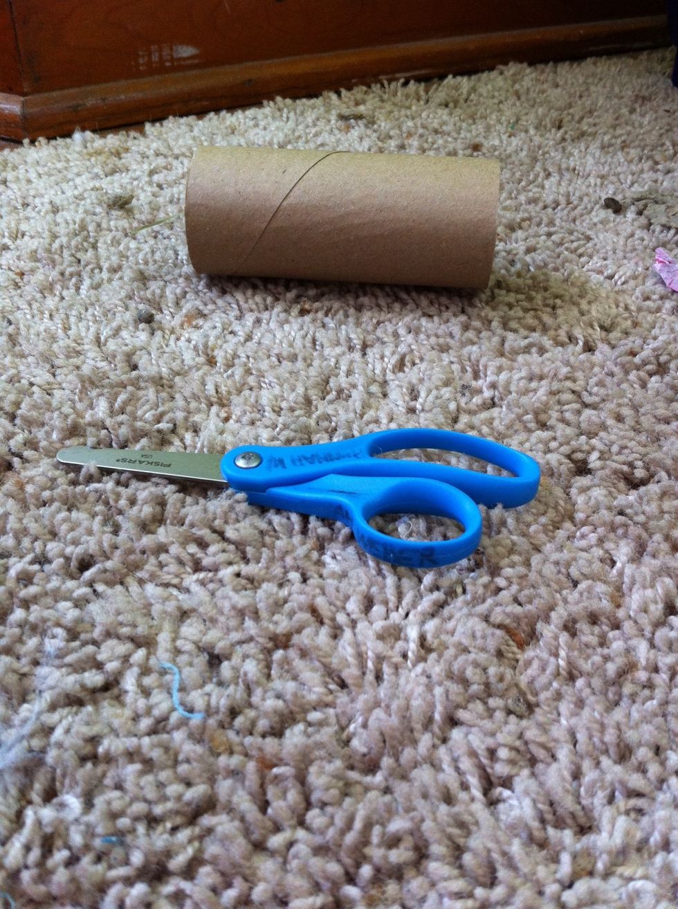 You will need scissors and a paper towel tube.
