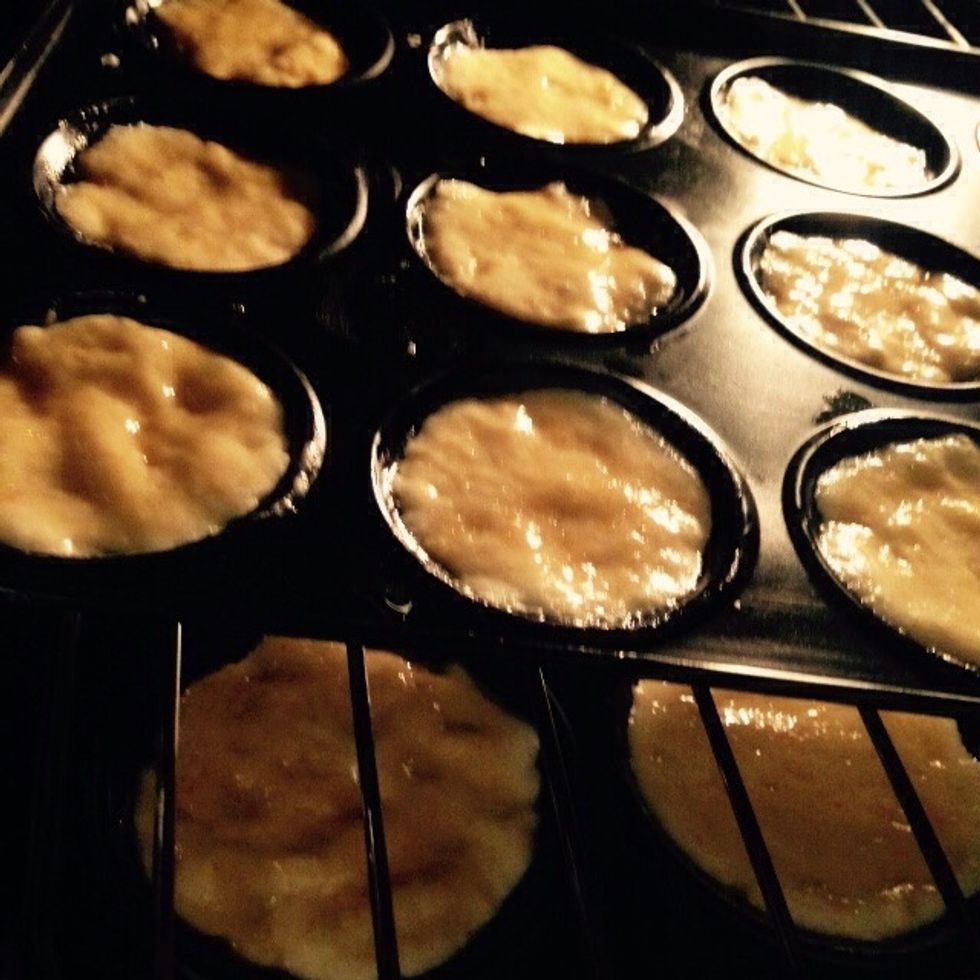 You will see them grow very quickly