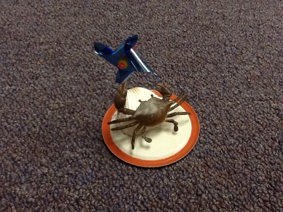 You will want to wait 10-15 mins to let your figurine dry