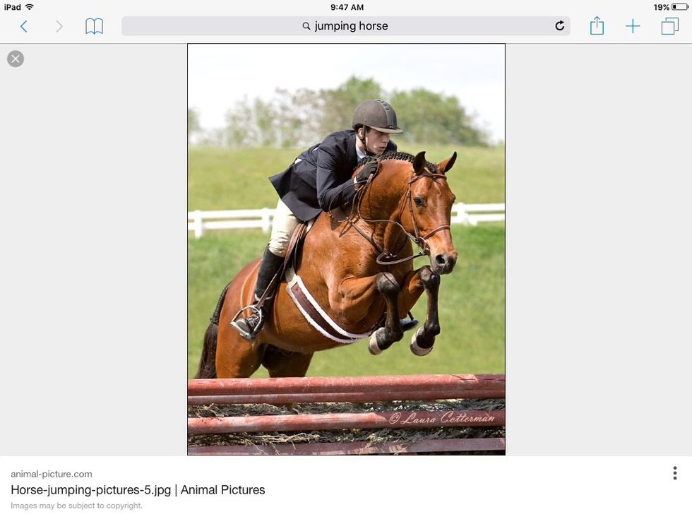 Your approach to the jump is very important. 1 stride before the jump, get in to two point position. Two point is when you stand in the stirrups and lean forward