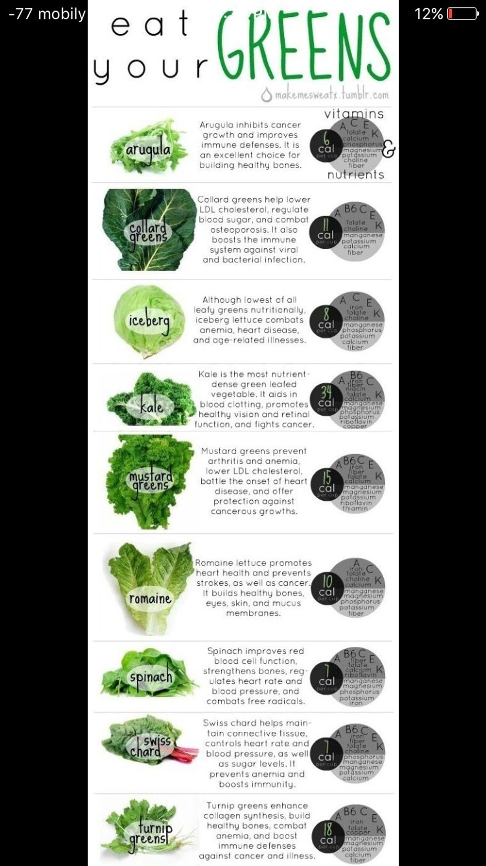 YOUR BASIC GUIDE TO GREEN VEGGIES
