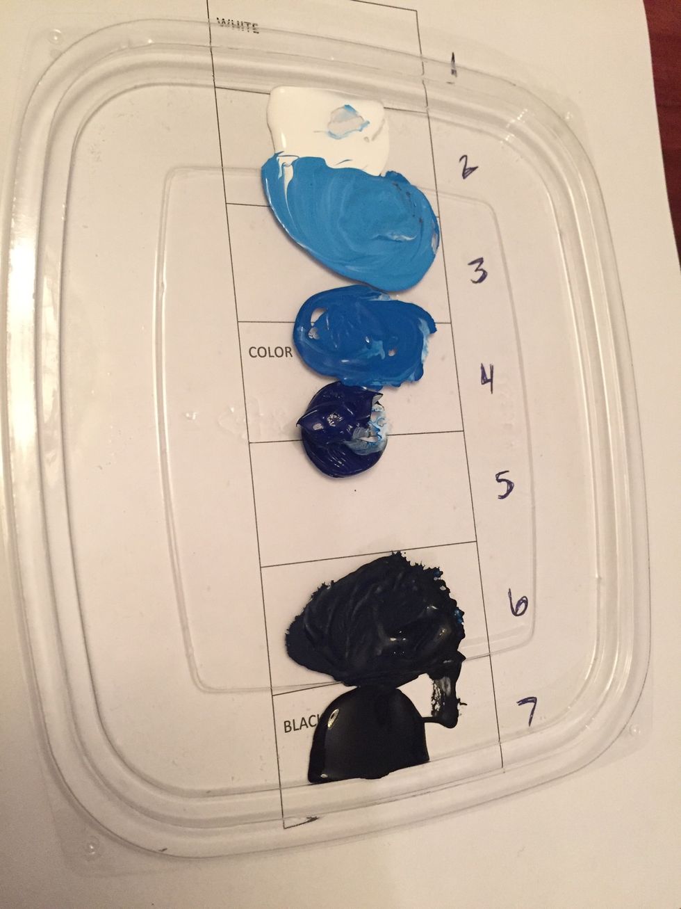 Your darkest shade is value 6 on your value scale.