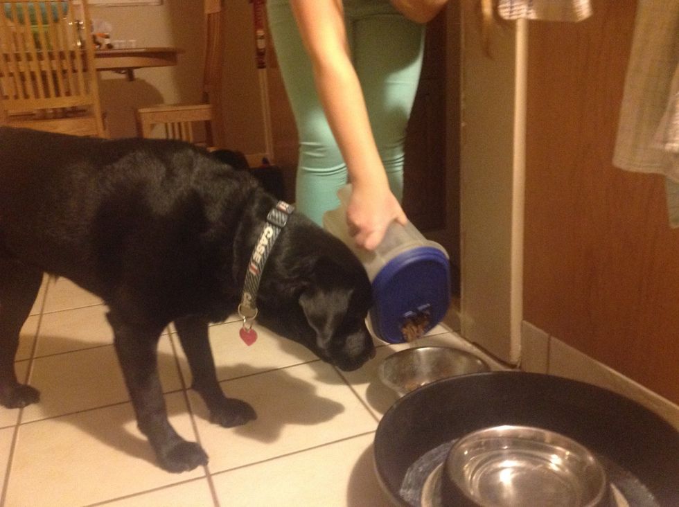 Your dog will love you for this!