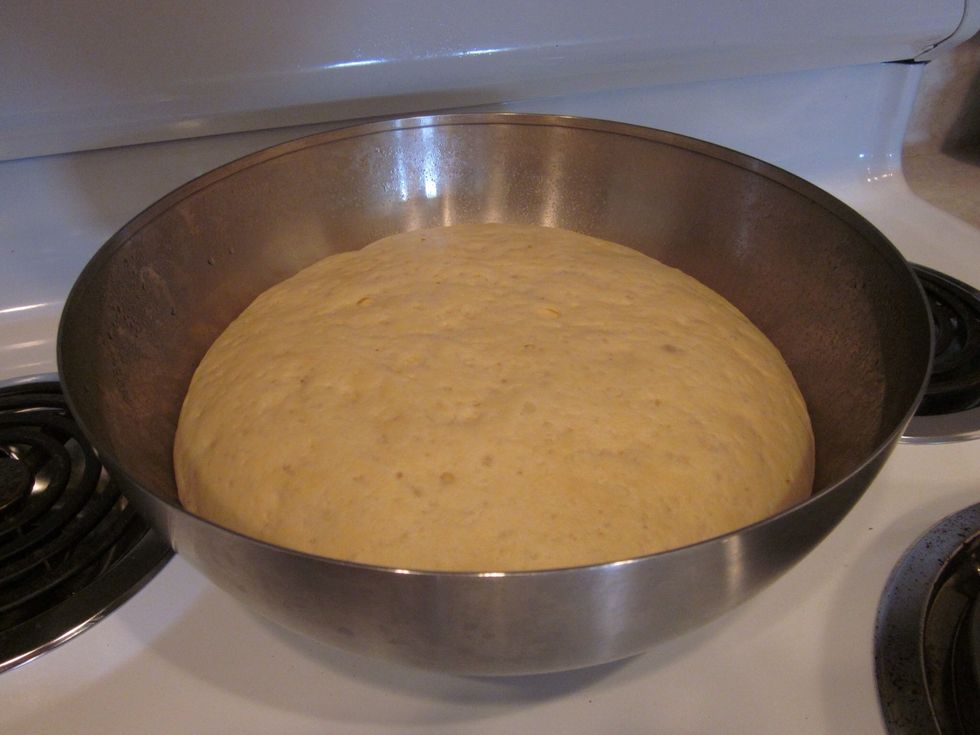 Your dough should be roughly twice as large as it was before. Give it a slight press in the center to release the built up air.