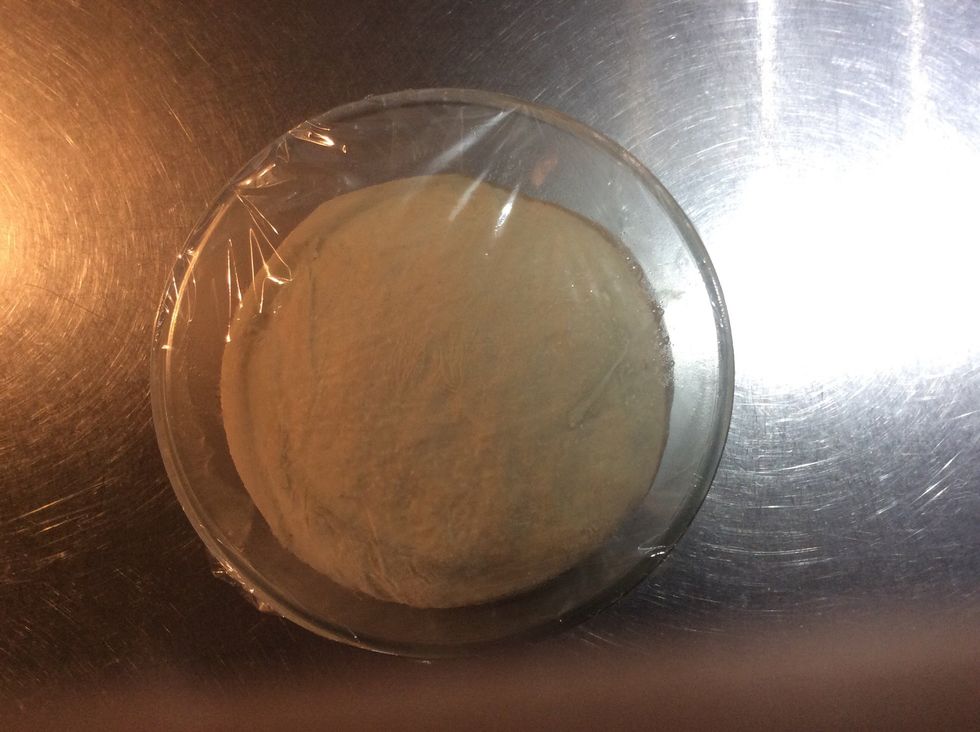 Your dough should look like this after rising