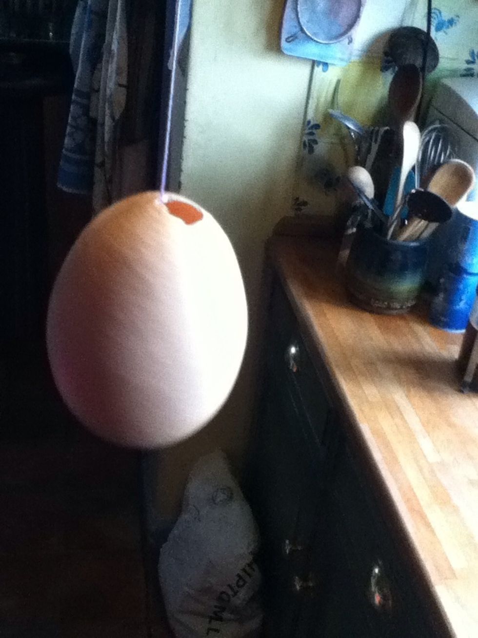 Your egg is ready!