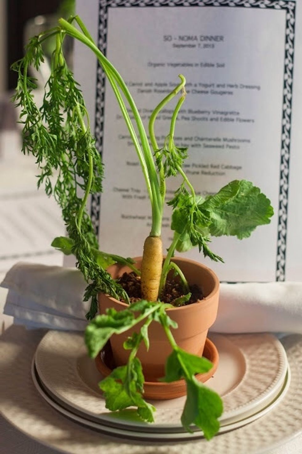 Your final dish should look like this.The look on your guests face when told their first course is in the flower pot... priceless.
