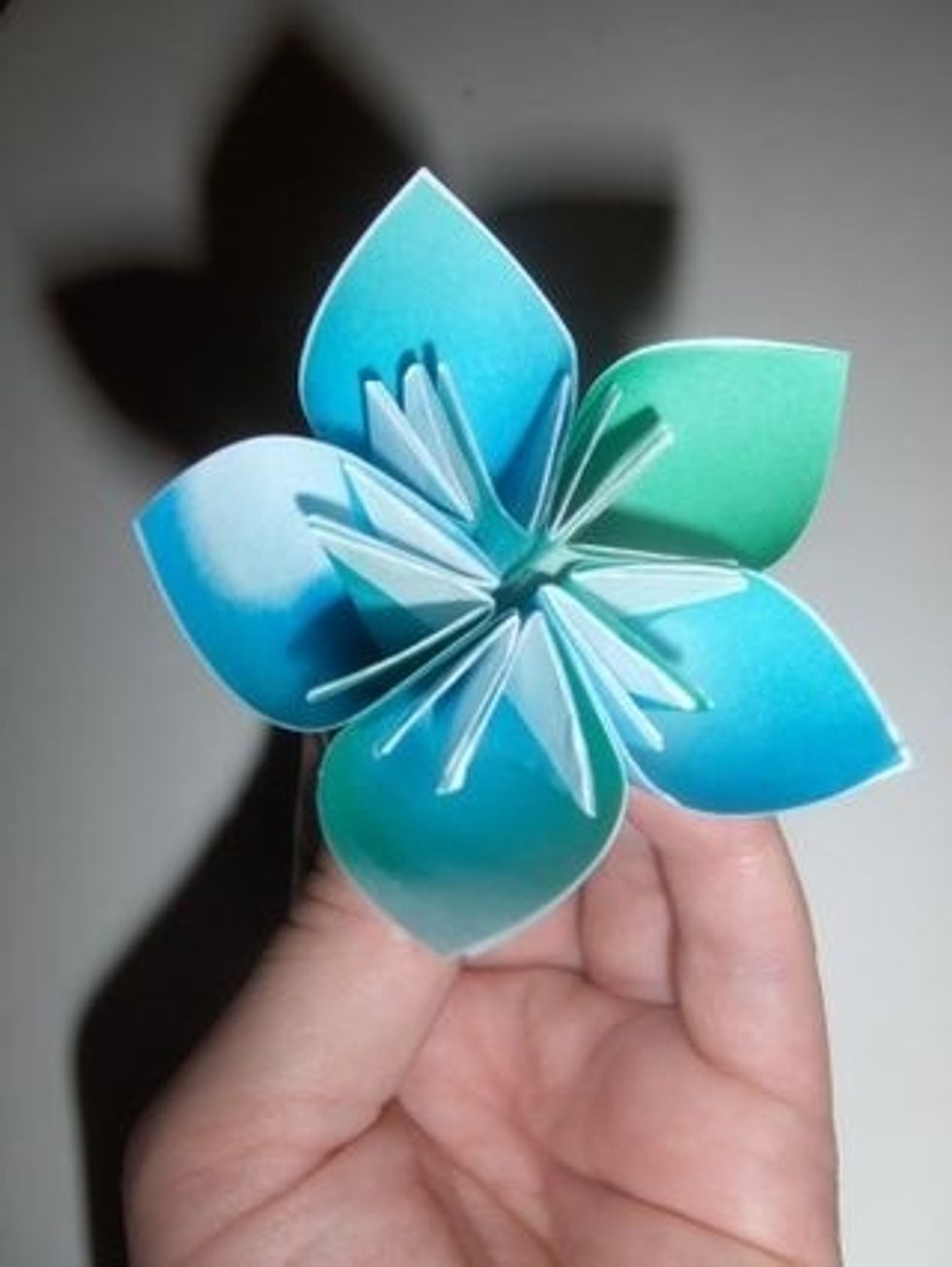 Your first flower!
