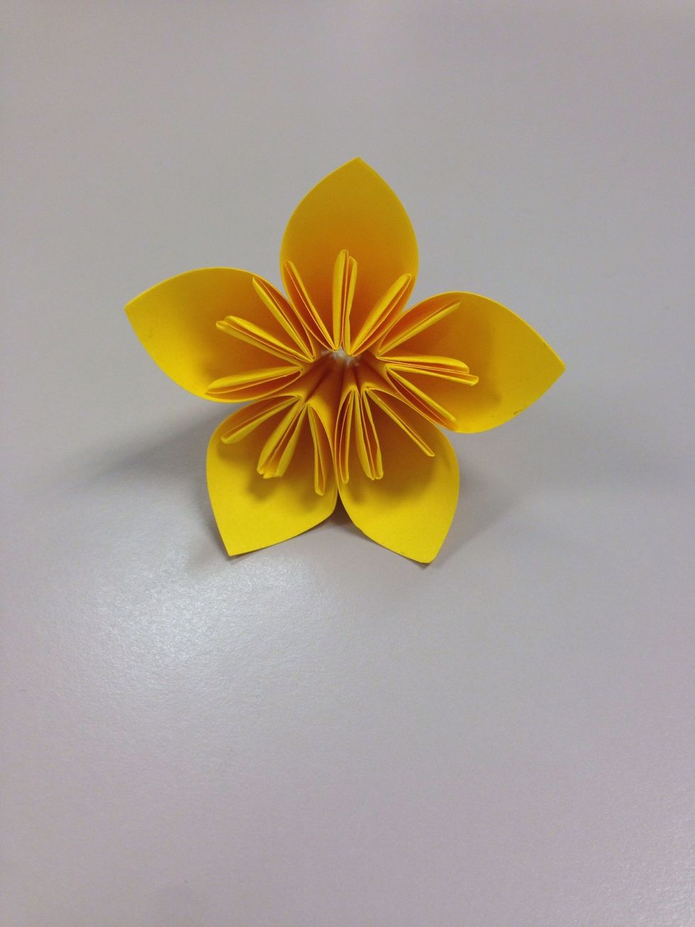 Your flower is ready :)