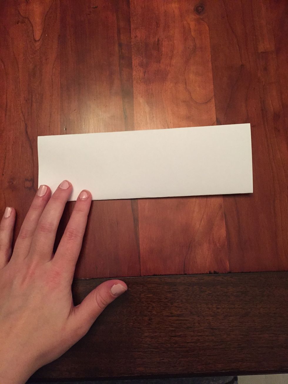 Your folded paper should look like this.