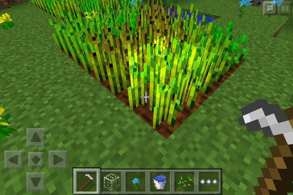 Your garden should look like this once it is done growing.