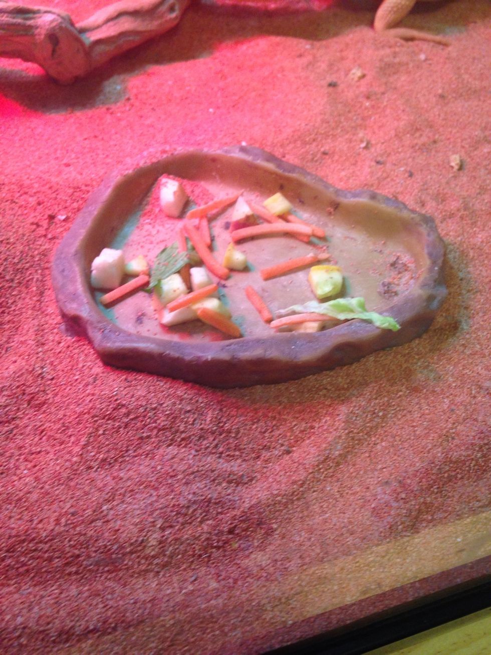 Your gunna want a good dish to put salad
