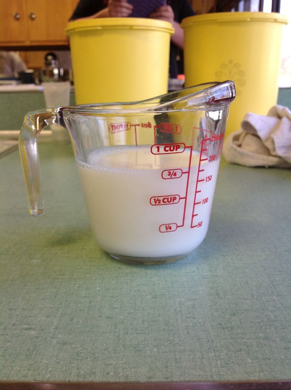 Your milk. Make sure you have a bowl large enough for your egg, milk, and oil.