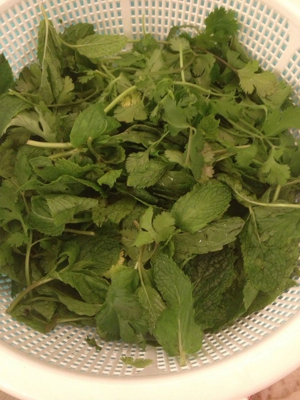 Your mint and cilantro is rinsed.
