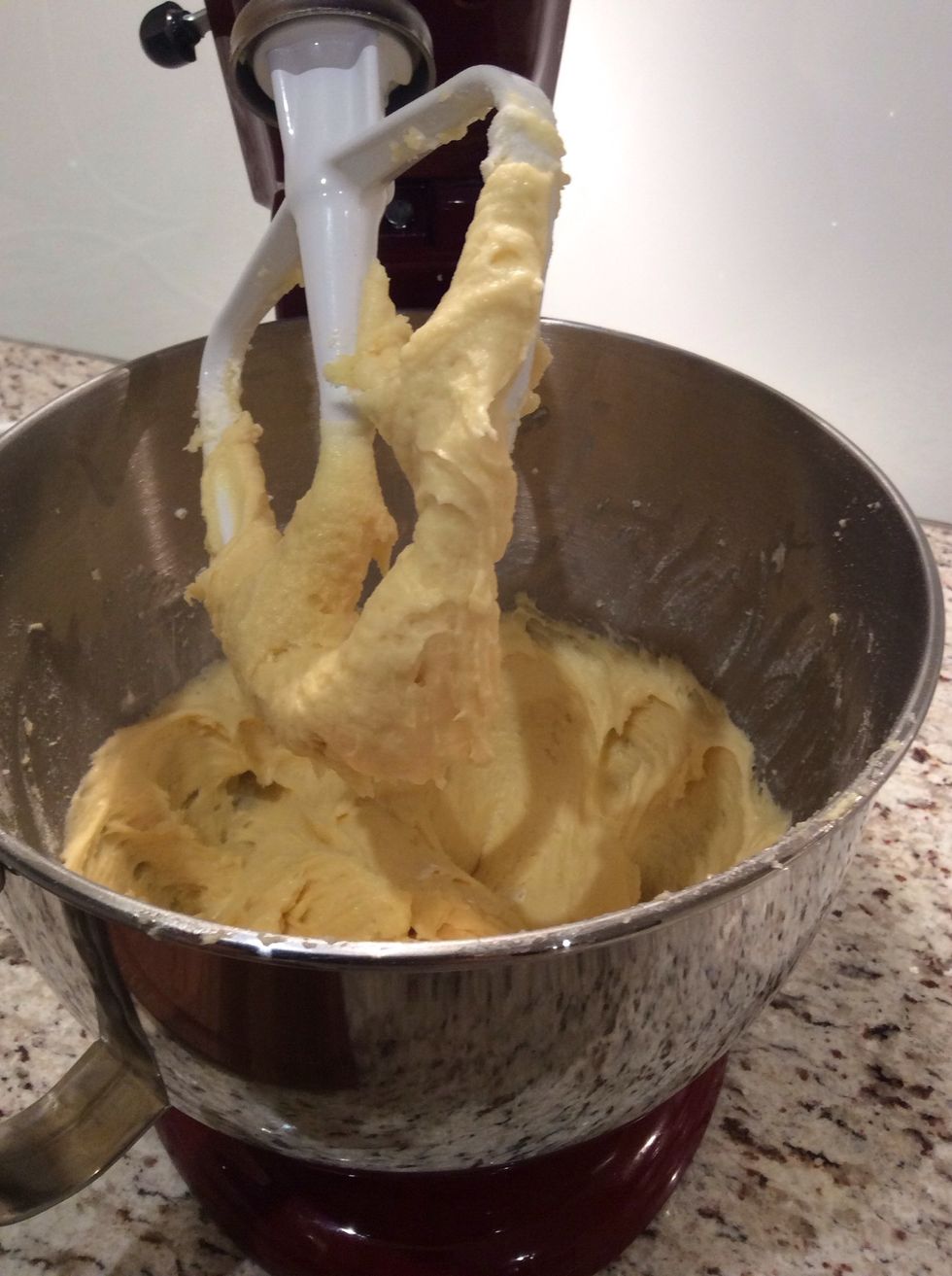 Your mixture should look like this when it is ready.