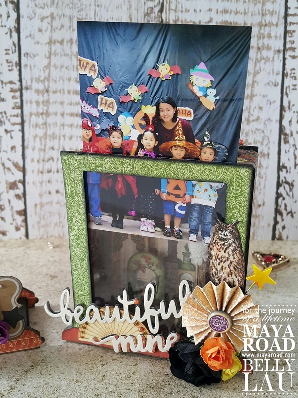 Your photos can simply be sleeve in between the acetate window