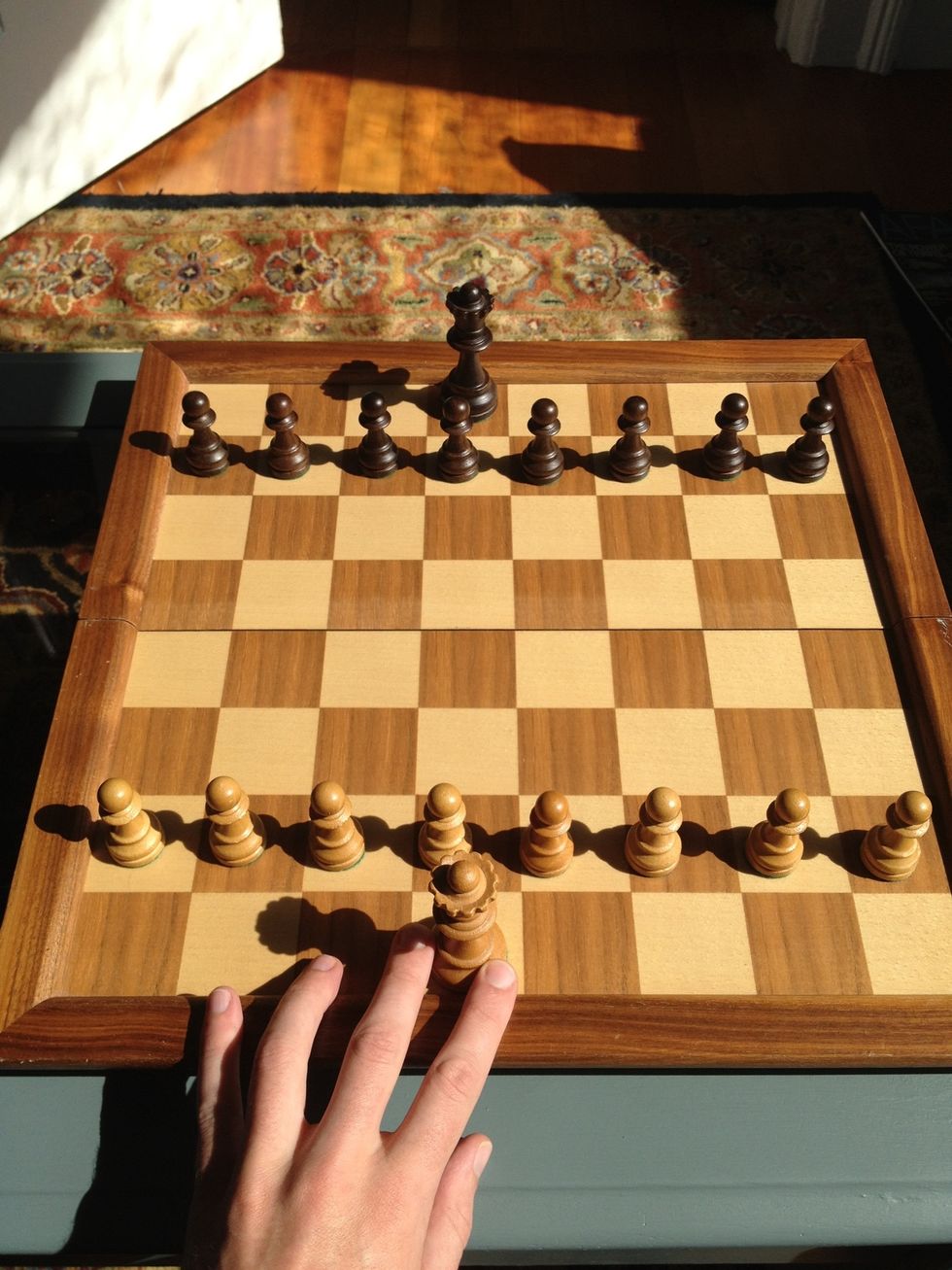 Your Queen, me lord. She moves in any direction, as far as she likes, back and forth. Losing your queen is usually catastrophic to your game, unless it's part of your overall plan for checkmate...