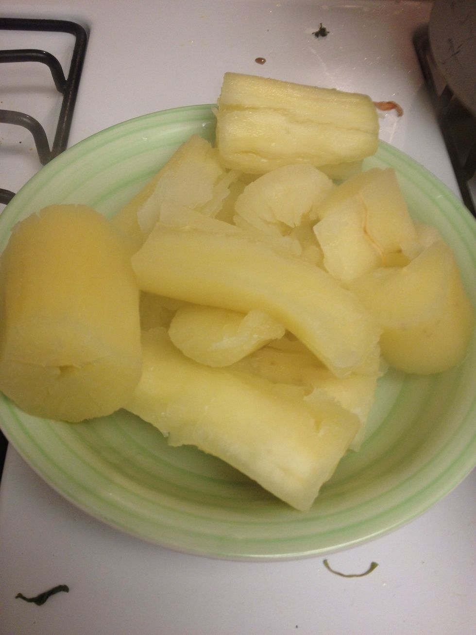 Yucca should look like this. Let it cool! This tastes like potatoes, it is really good!