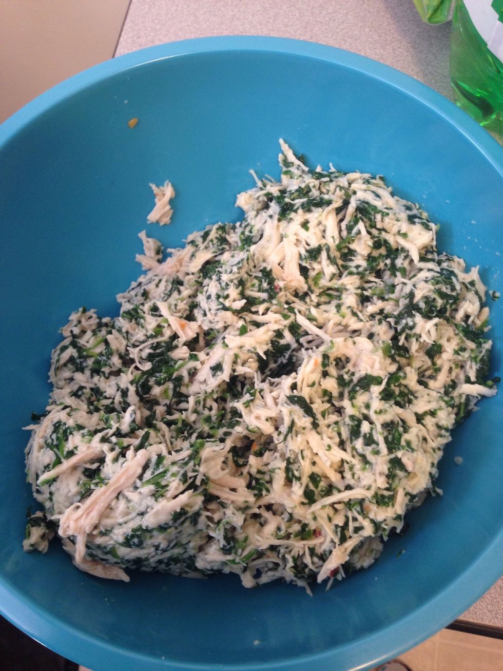 Yum! Look at that delicious ravioli stuffing.