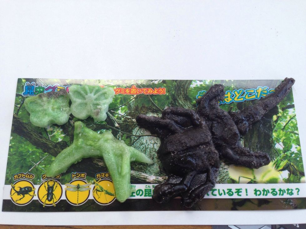 Yummy Japanese grape and melon bugs -