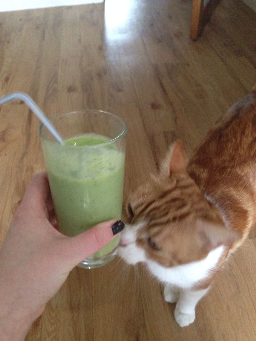 Zippy approves! \ud83d\udc08 you could also add oats or natural yogurt to give it more substance and have it for breakfast! Whatever you feel like, try mixing it up!